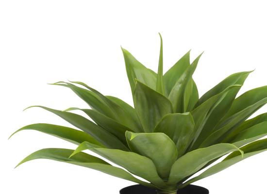 Artificial Trees & Plants