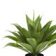 Artificial Trees & Plants
